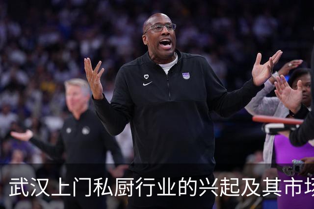武汉上门私厨行业的兴起及其市场前景分析